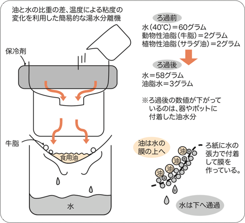 市村アイデア賞 第50回表彰概要 審査委員長特別賞 少年少女創造性育成 公益財団法人 市村清新技術財団