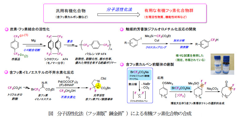 市村学術賞 受賞テーマ 第51回概要 04 市村賞贈呈 公益財団法人 市村清新技術財団