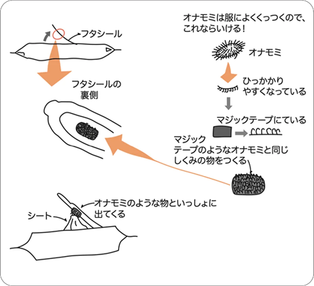 ウェットシート
キャッチャー