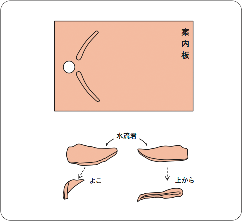 図