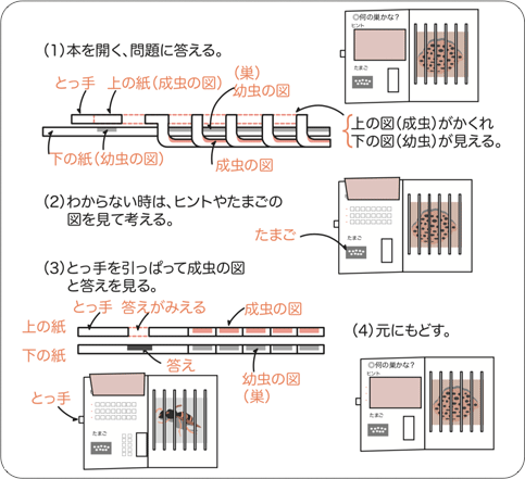 図