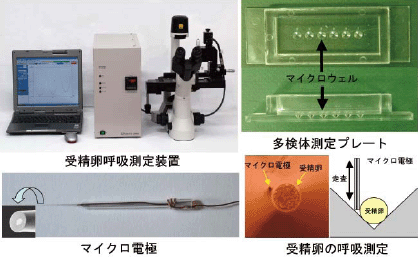 図1 走査型電気化学顕微鏡をベースに開発した「受精卵呼吸測定装置」
