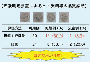 図2 「受精卵呼吸測定装置」を用いたヒト受精卵品質評価法の開発