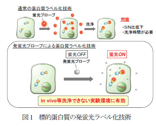 図1