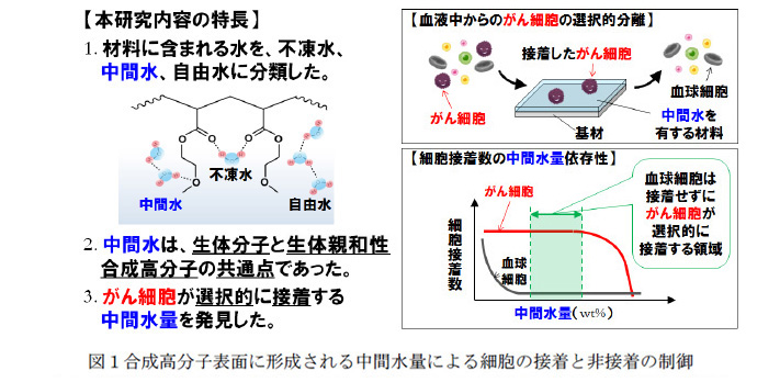 市村学術賞 受賞テーマ 第51回概要 02 市村賞贈呈 公益財団法人 市村清新技術財団