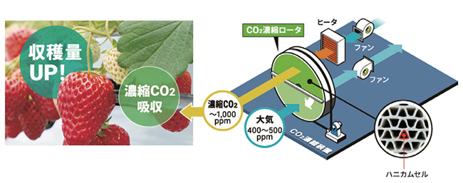 �uC-SAVE Green®�v�̊�{�\��