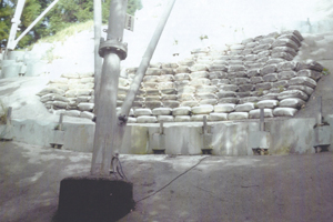 �u�y�̂��v�[�U�^�C�v�B�}�X�Βn�ňЗ͂𔭊�����